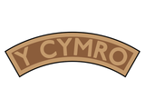 Ffestiniog Railway "Y Cymro" headboard